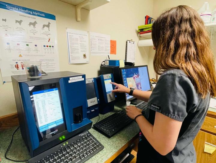 Mead Veterinary Jobs WA Veterinary Employment Opportunities